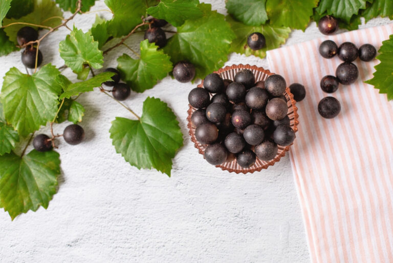 Muscadines (featured image)