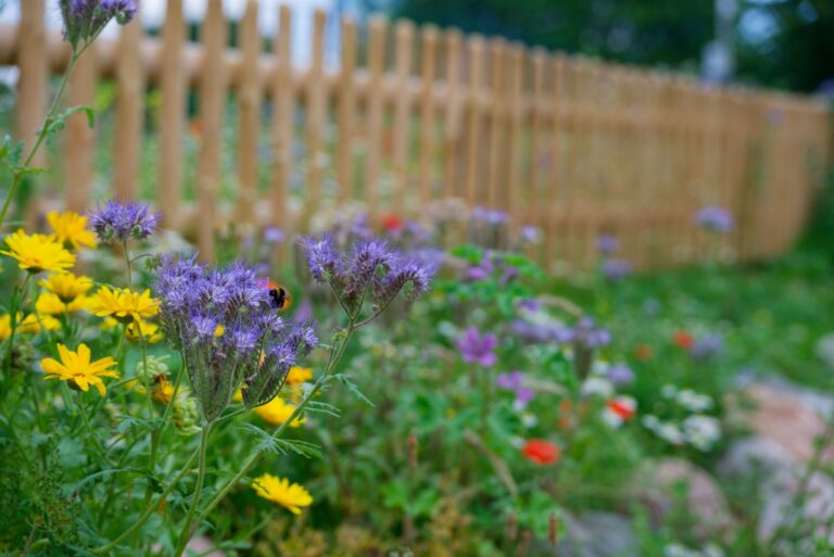 wildflower fence line (featured image)