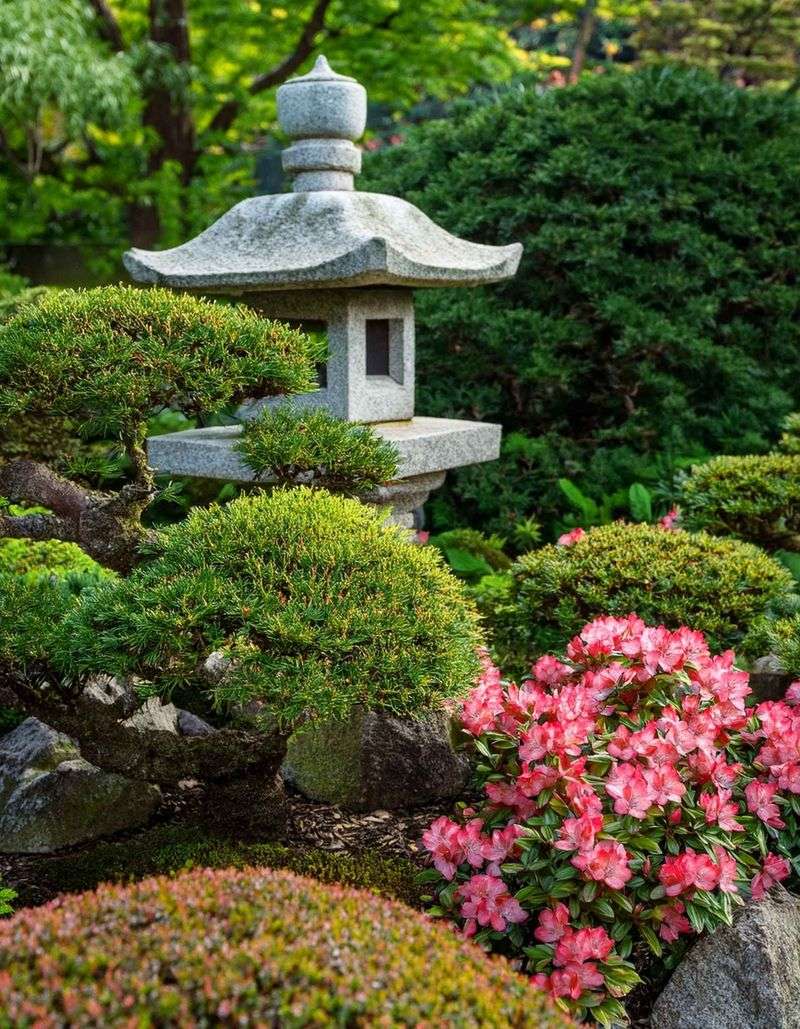 Japanese Garden