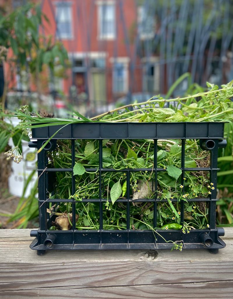 Community Garden Revolution