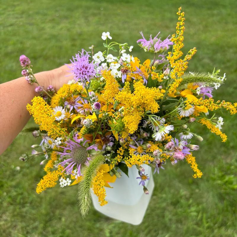 Goldenrod: Sunshine Stems Without the Sneeze