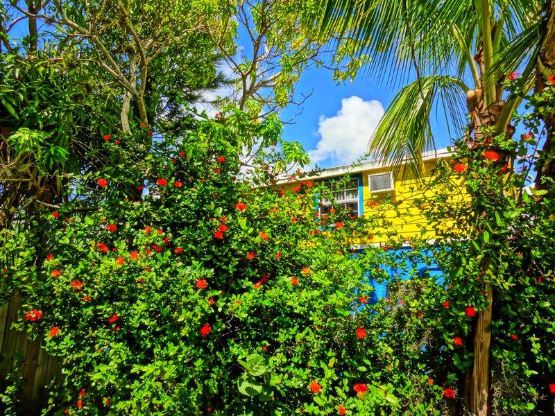 Matlacha: The Painted Mangrove Haven