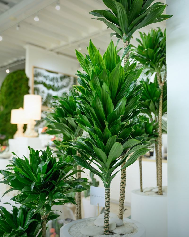 Layer Plants At Different Heights