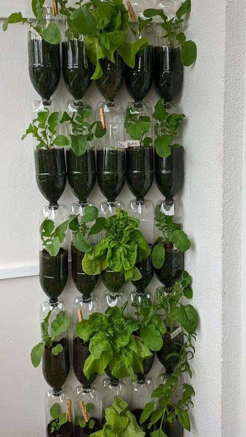 Master Vertical Gardening