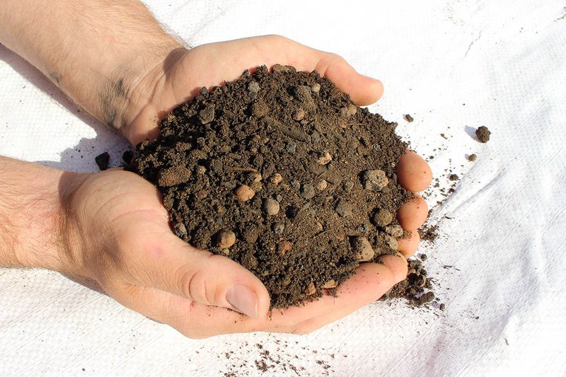 Select Specialized Soil Mix