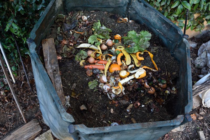 Balance Your Browns And Greens Meticulously