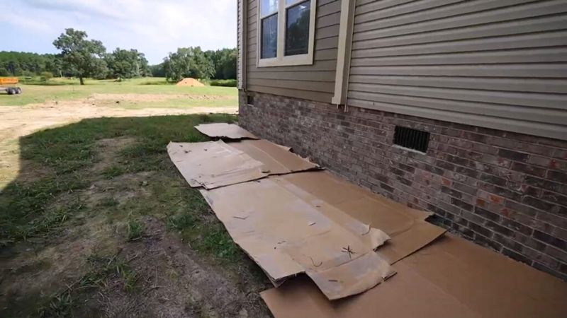 Kill Existing Lawn Without Chemicals