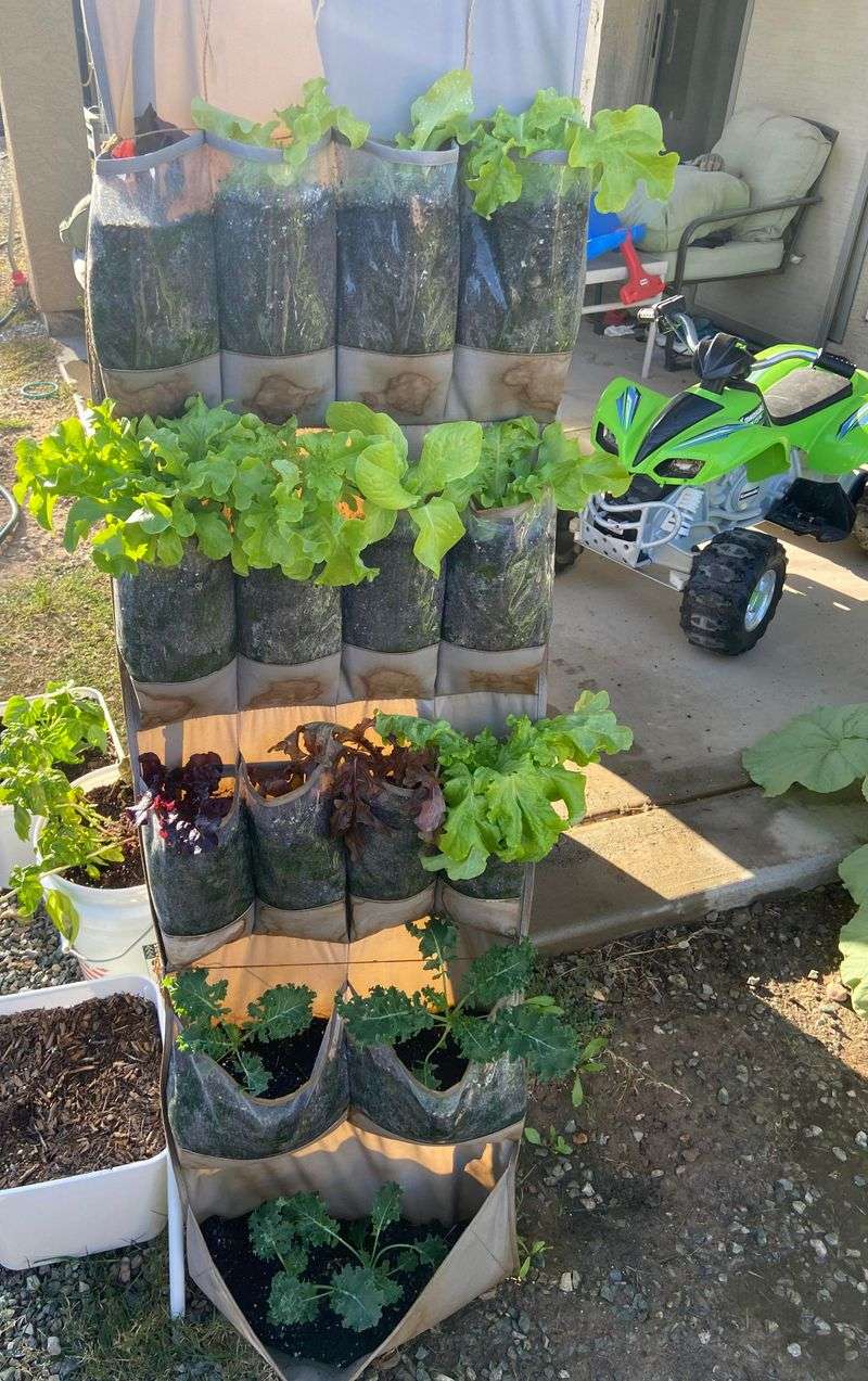 Set Up Your Growing Location