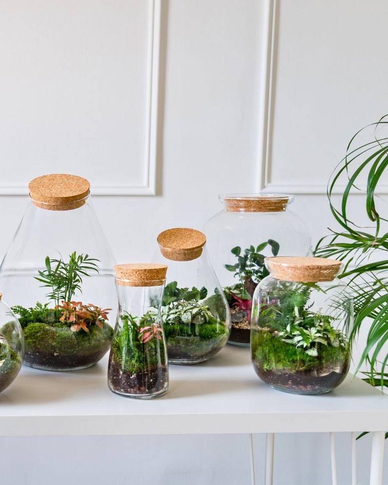 Plant Your Mini Garden