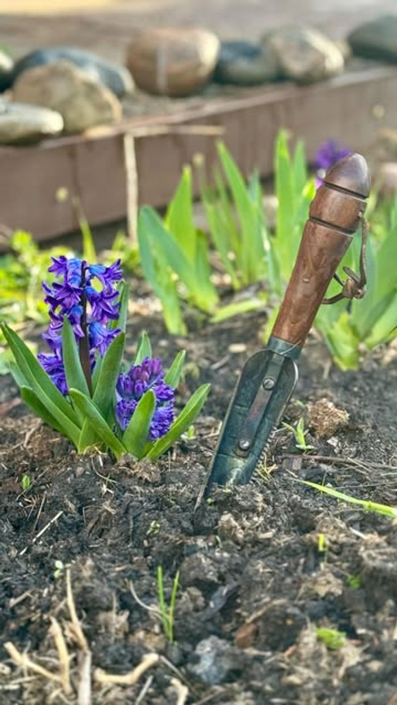 Gather Your Tools