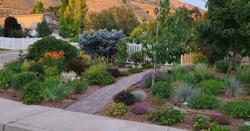 Using National Gardening Advice