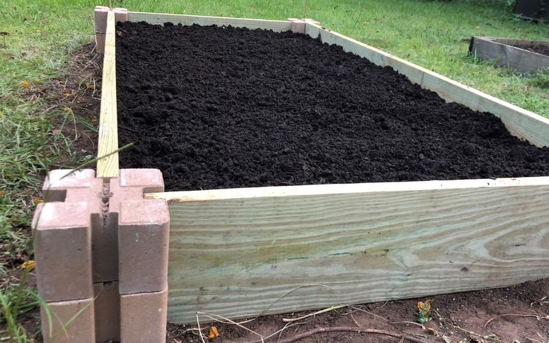 Sandy Soil Vegetable Beds