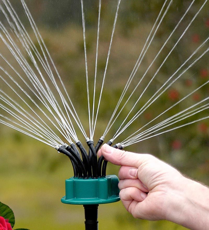 Install Motion-Activated Sprinklers