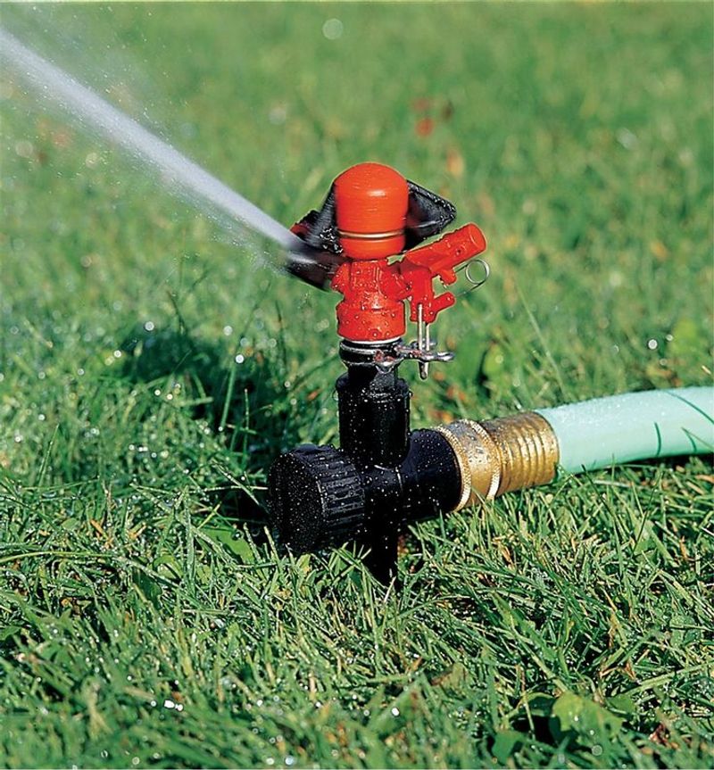 Use Motion-Activated Sprinklers