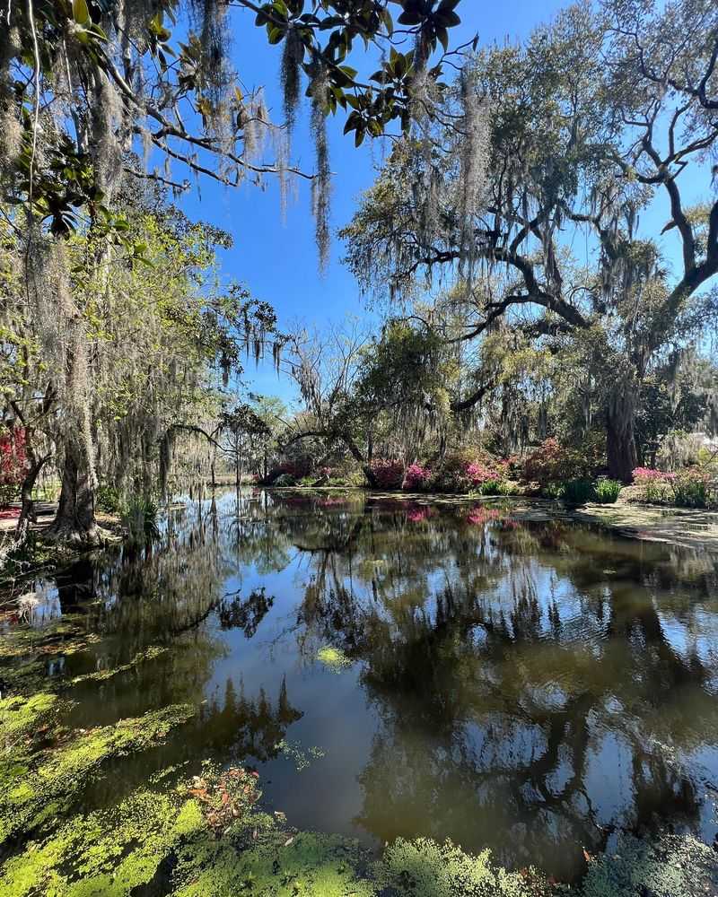 Gardens As A Sanctuary