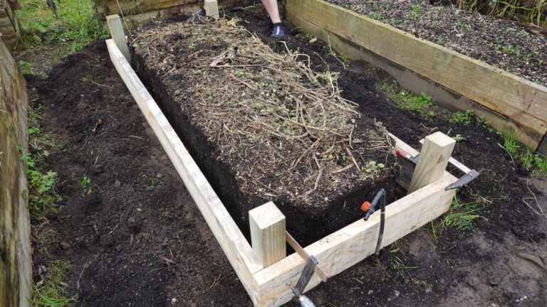 raised bed soil replacement