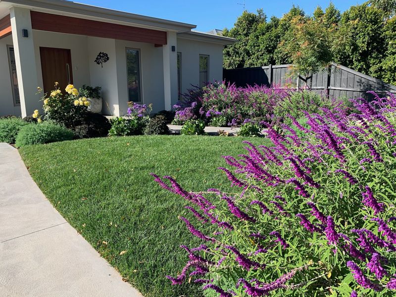 Lavender Hedge Alcove