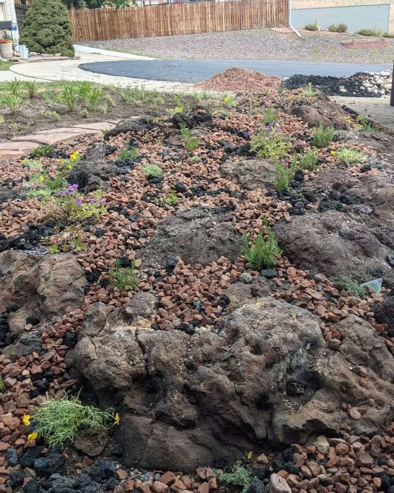 Pocket Rock Gardens