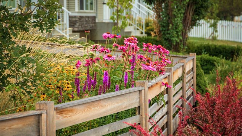 Native Plant Buffer Zones
