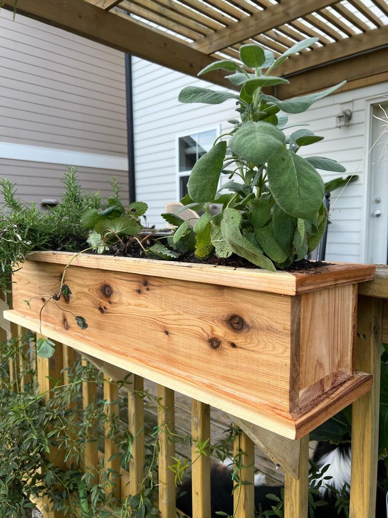 Railing-Top Herb Gardens