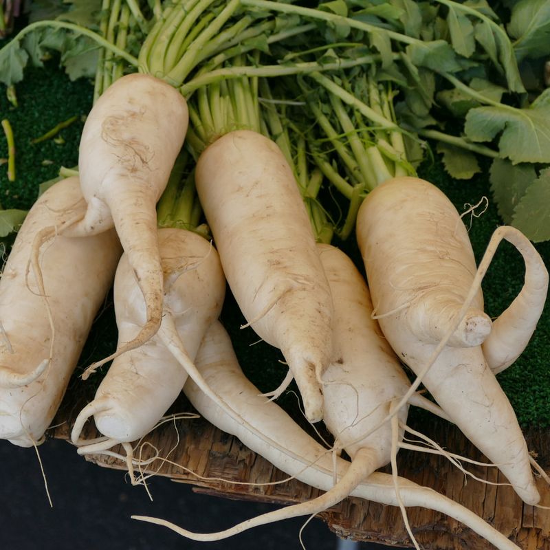 Parsnips