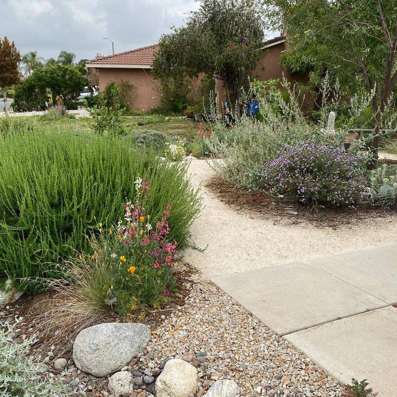 Grow Native Plants