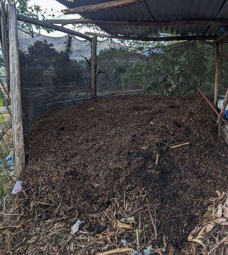 Turn Compost Pile