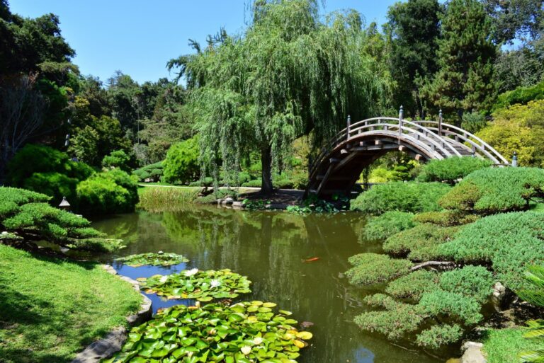 Beautiful, gorgeous landscapes in Huntington's Japanese Garden