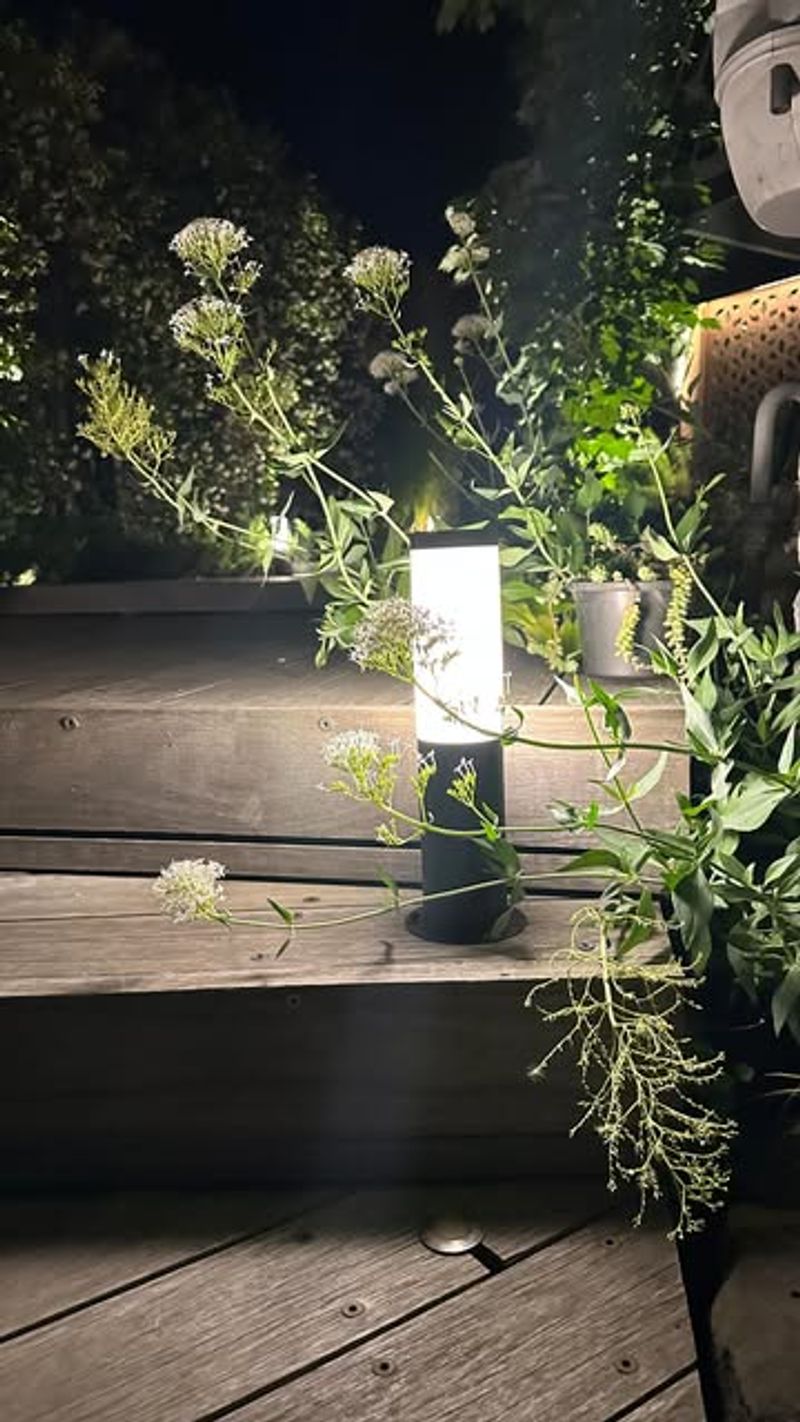 Wildlife-Friendly Border Illumination