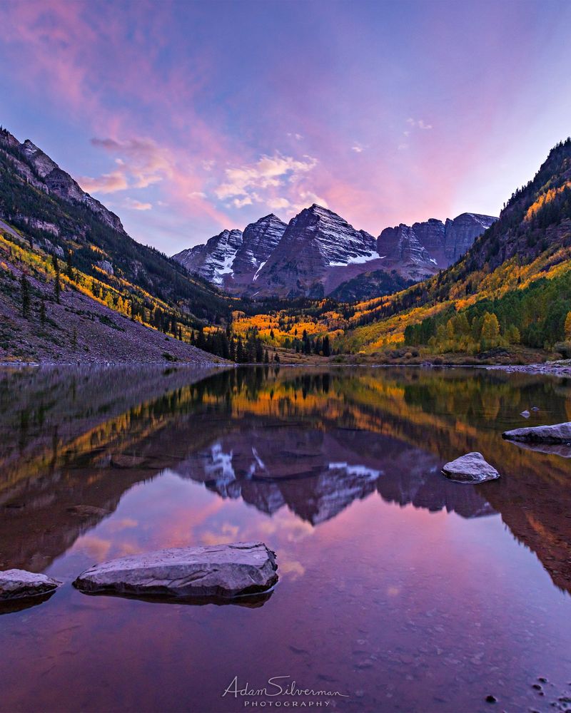 Aspen's Golden Wonderland