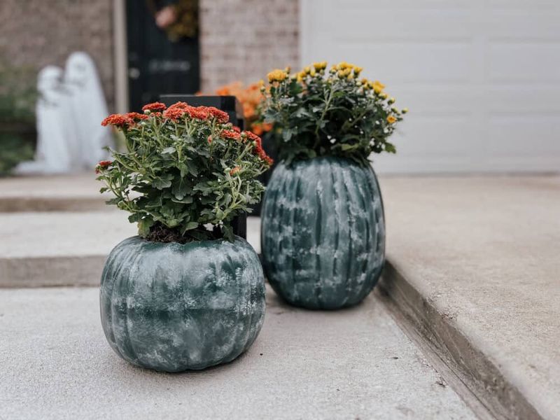 Painted Pumpkin Pot Gardens