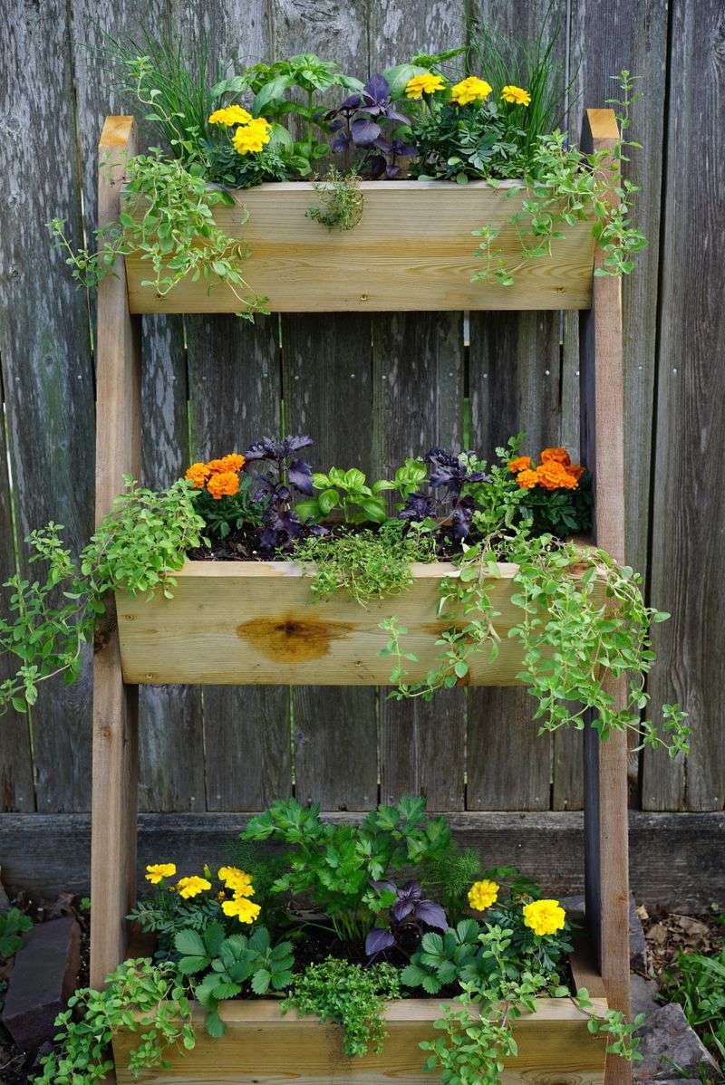Integrating Edible Flowers Into Vertical Frames