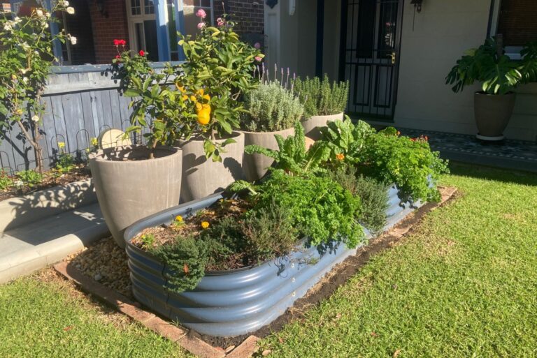 front yard vegetable garden