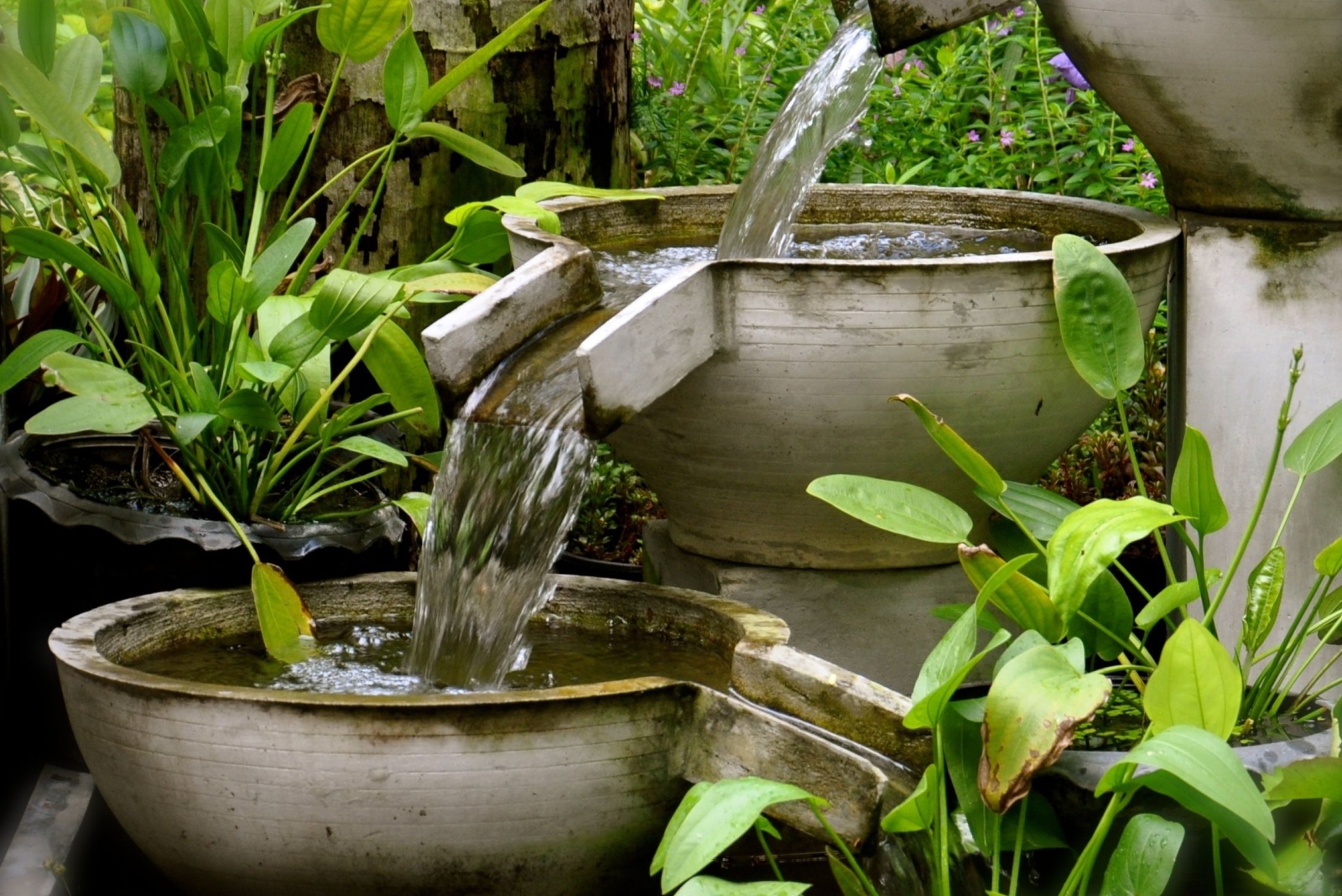 Common Yard Features That Could Soon Be Banned In Nevada Neighborhoods