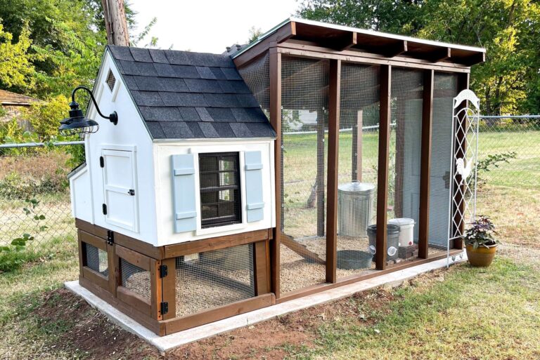 Backyard chicken coop