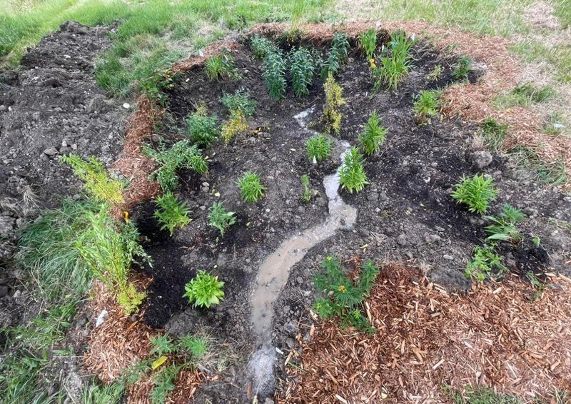 Money-Saving Garden Investments