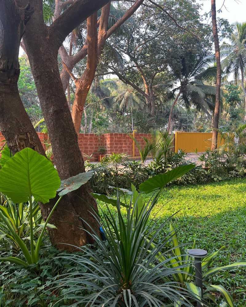 Strategic Shade Creates Microclimates