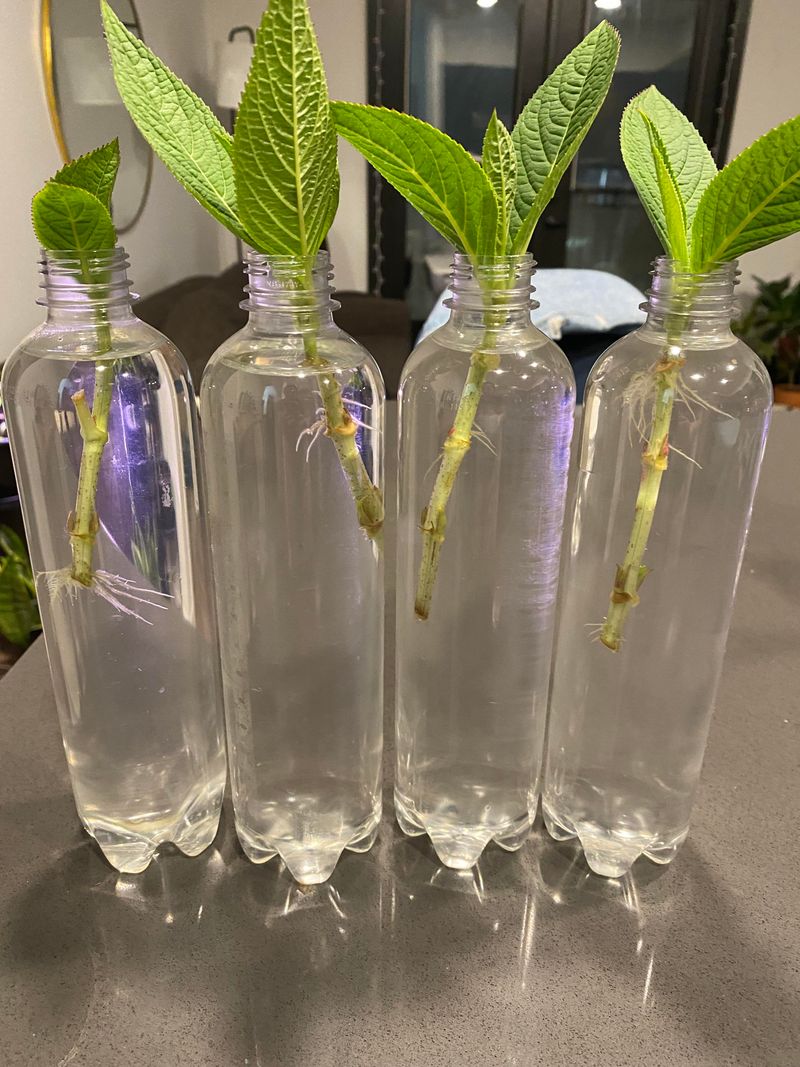 Propagation Timing Magic