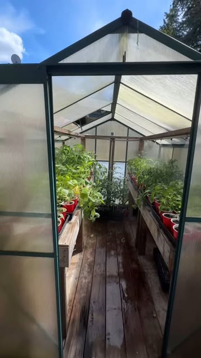 Vertical Growing Structures
