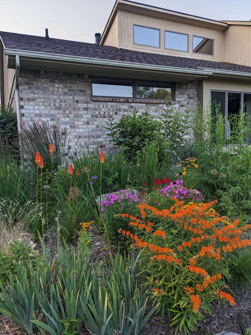 Grow Native Plants