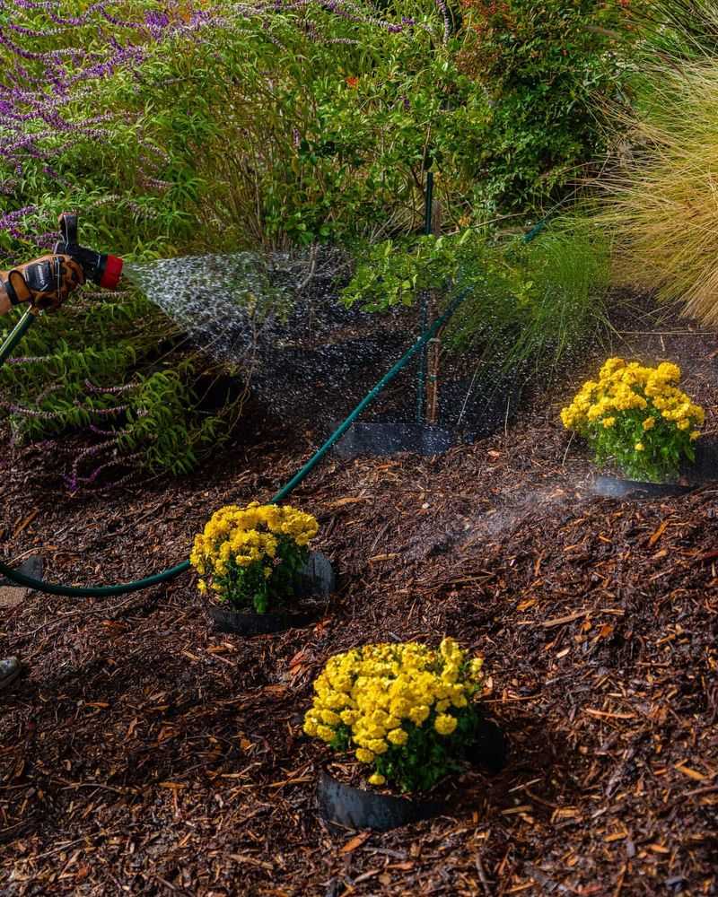 Prevent Erosion With Strategic Plantings