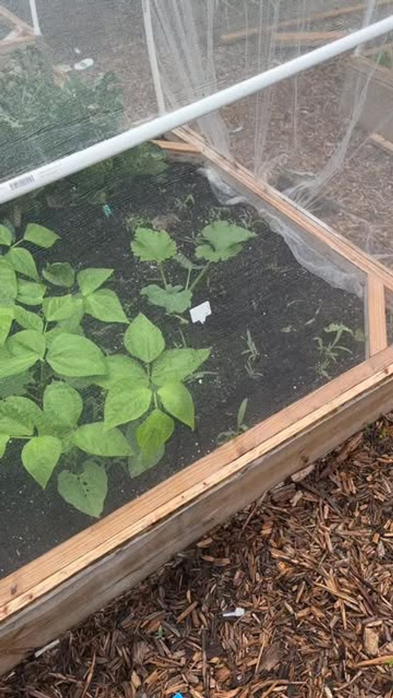 Mulch Containment System