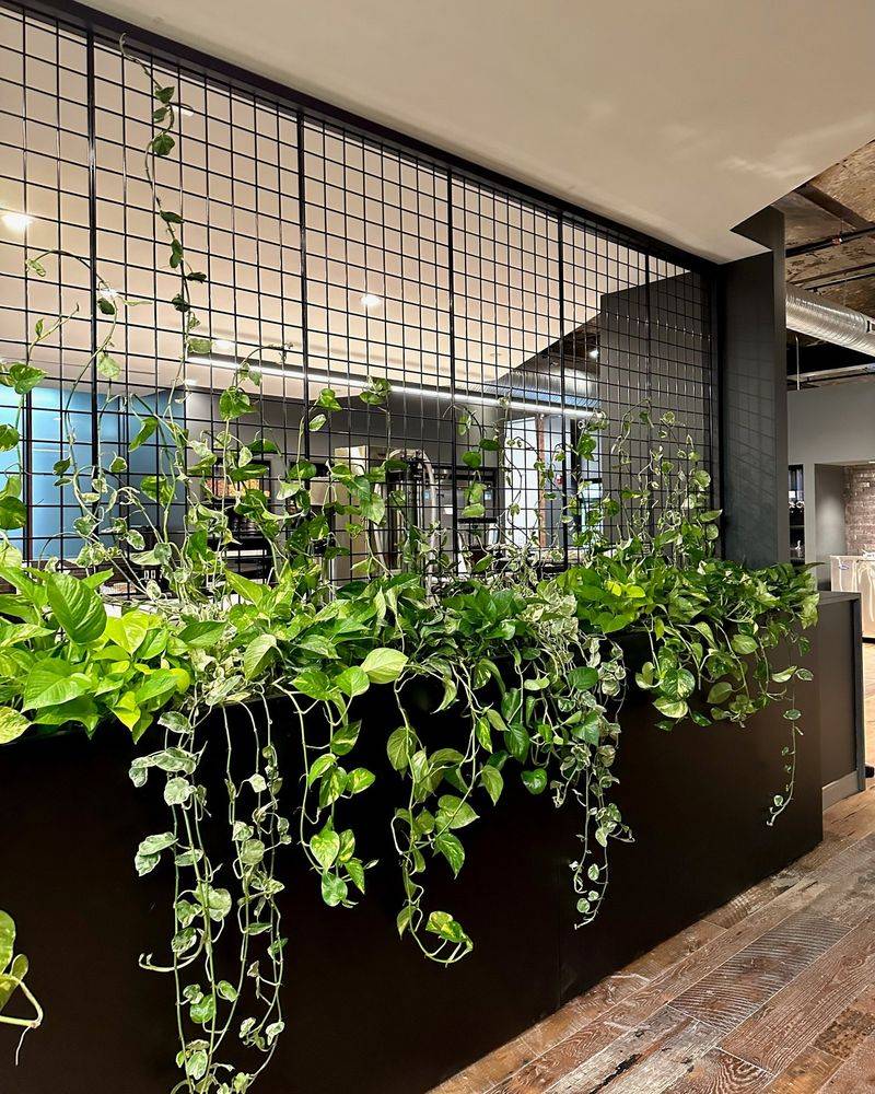 Living Room Dividers