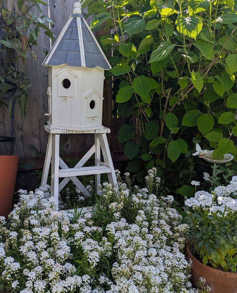 Sustainable Gardening On A Budget