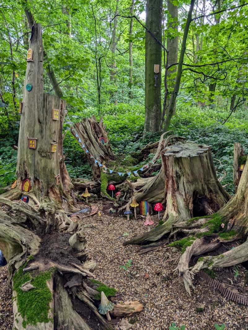Natural Playground For Children