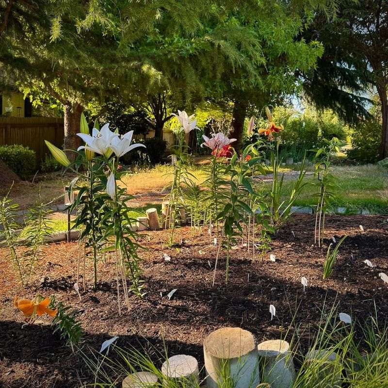 Label Your Varieties