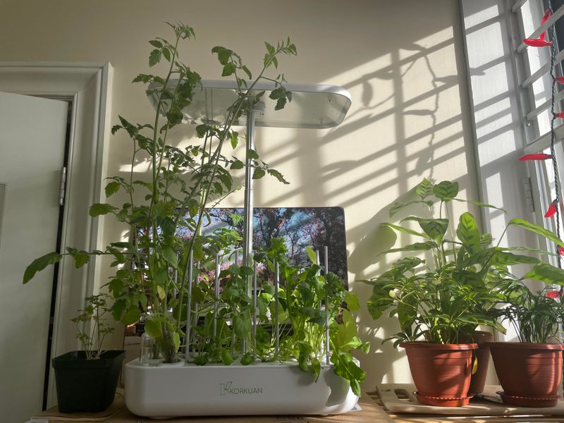 Grow Light Systems