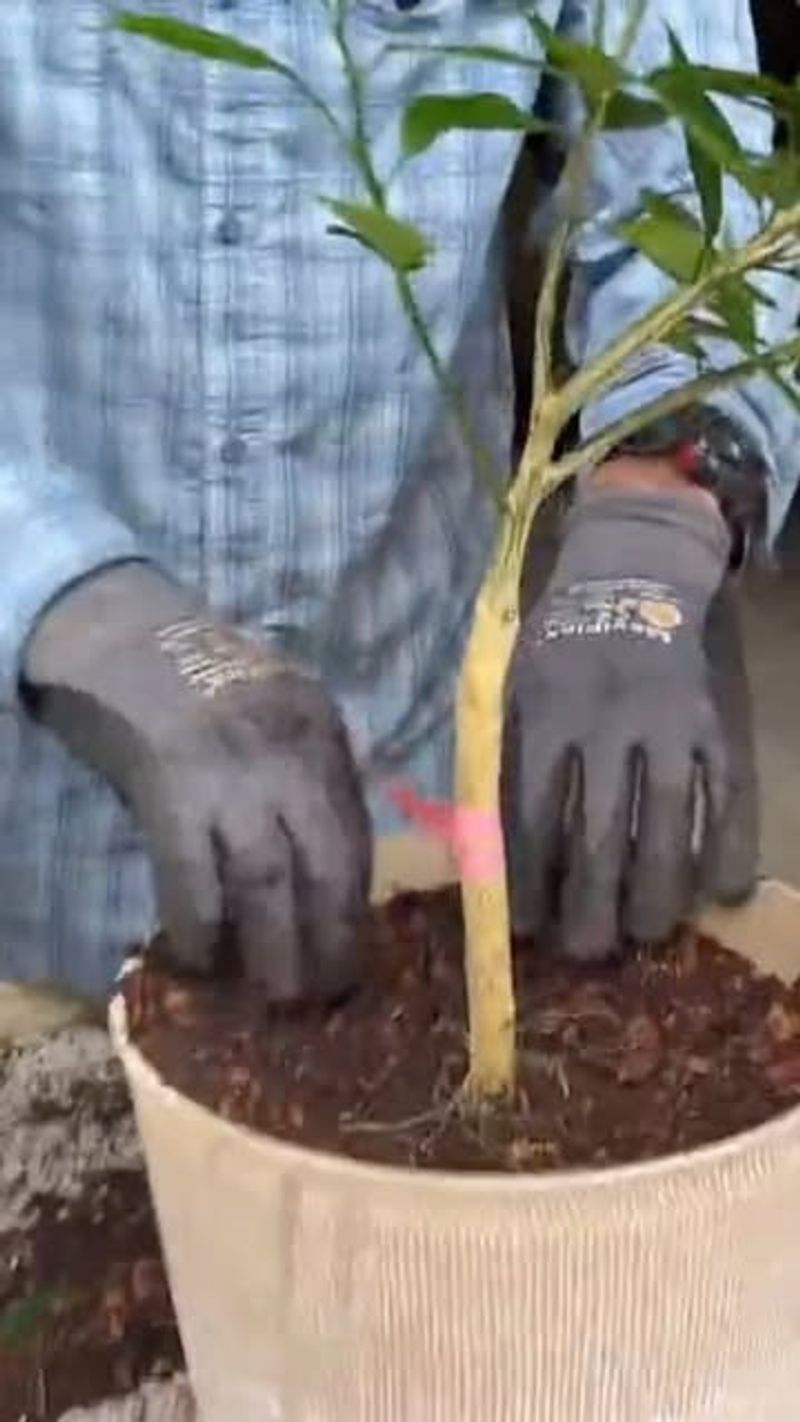 Create The Perfect Soil Mix