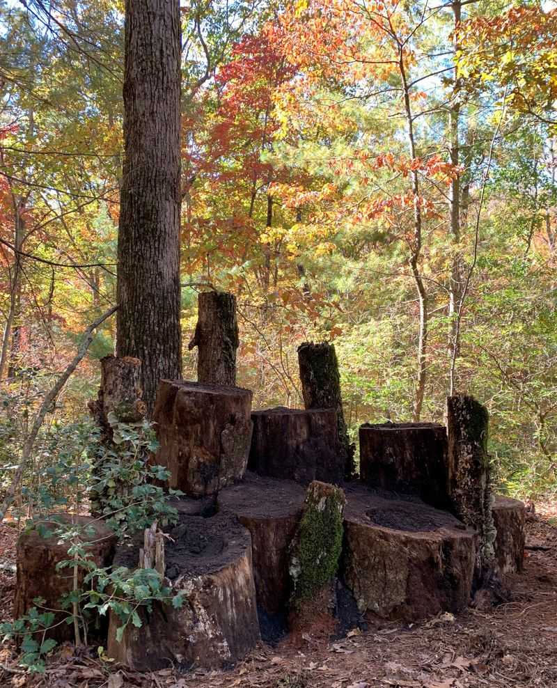 Natural Soil Building System