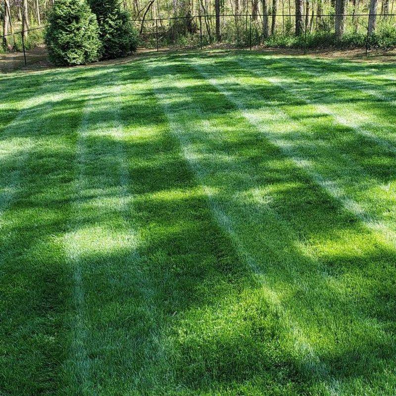 Natural Aeration Period
